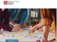 Info: Business Canvas